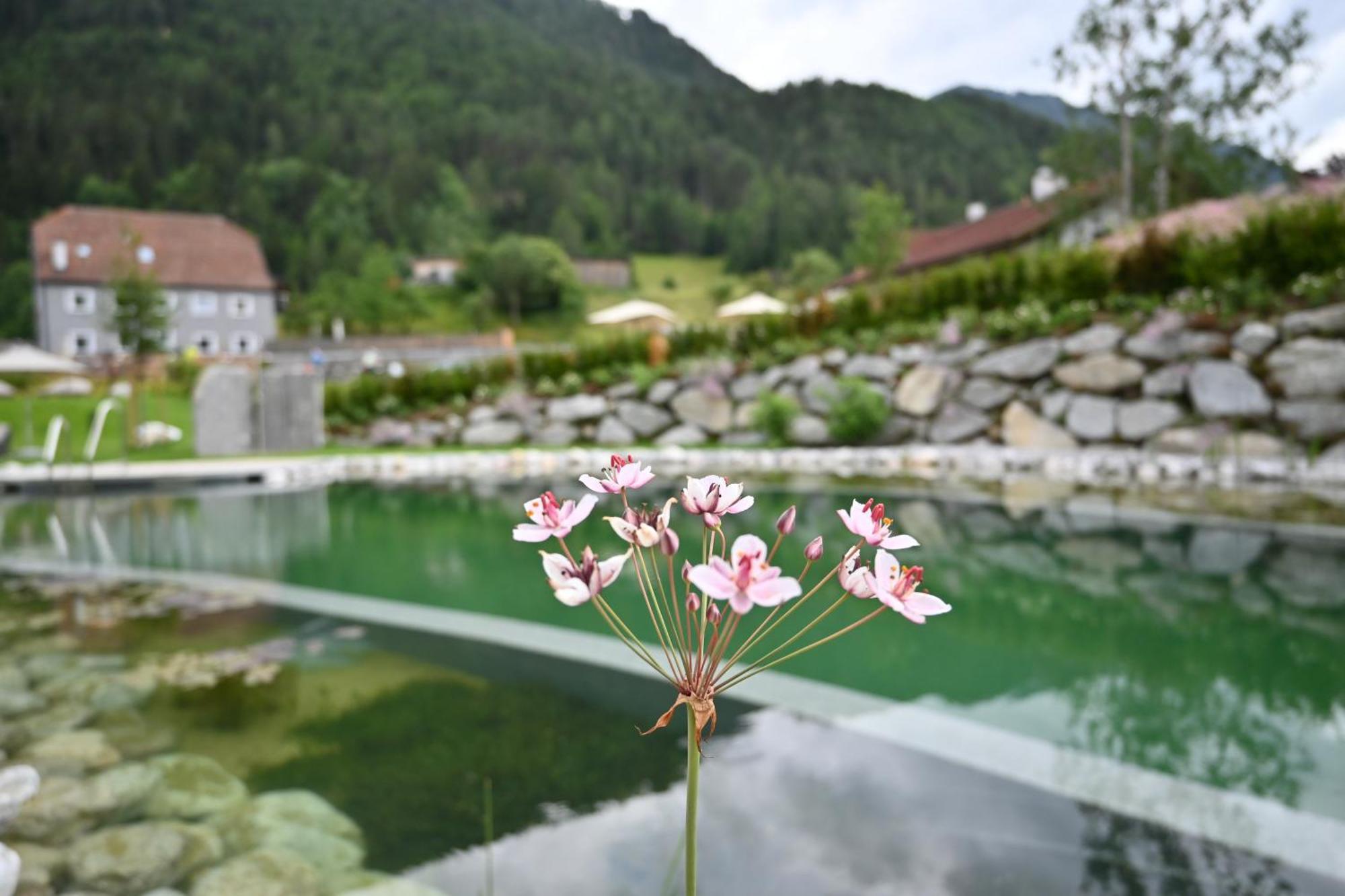 Tilia Living - B&B Mit Dem Komfort Eines Kleinen, Feinen Hotels Ried im Oberinntal Esterno foto